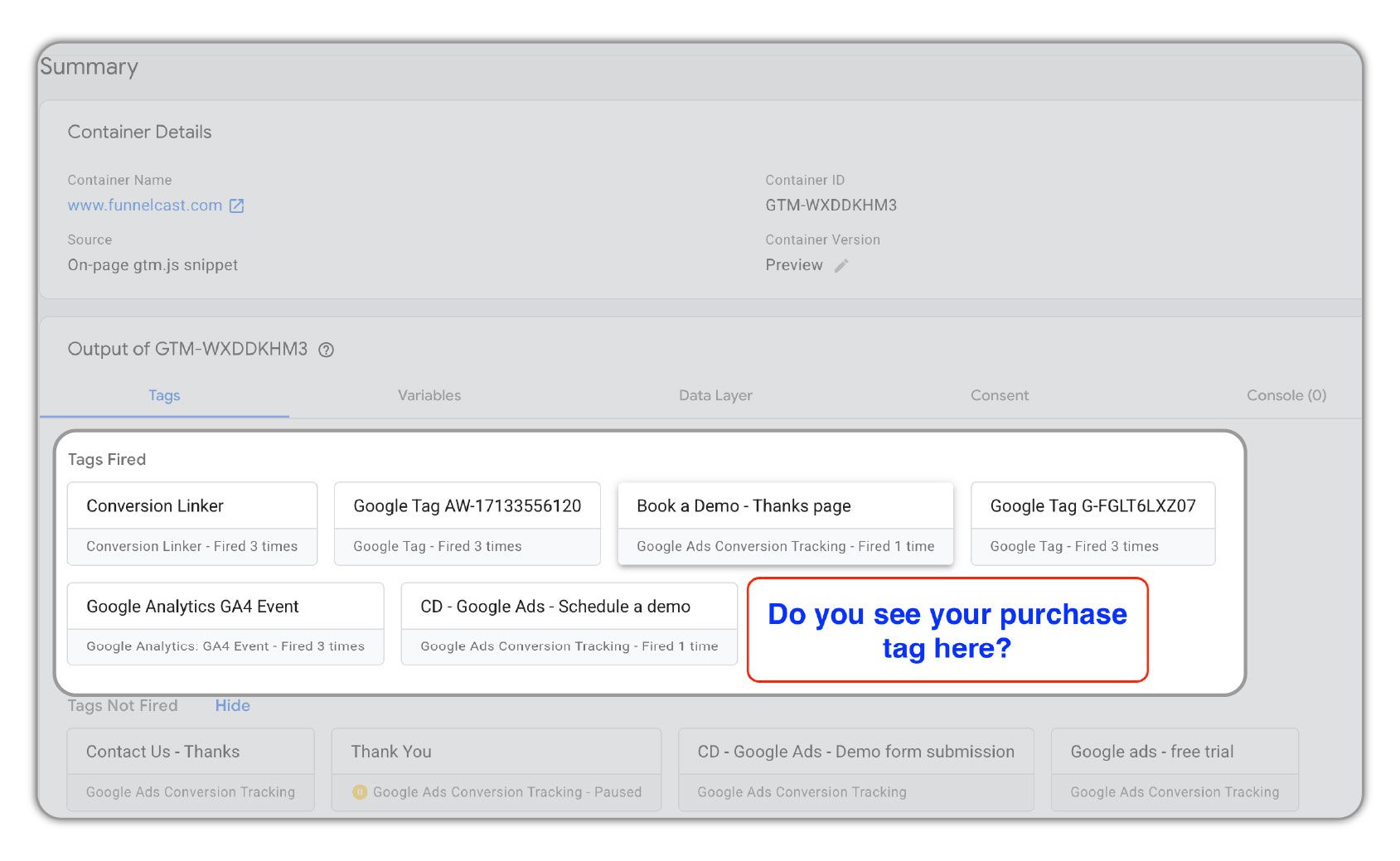 Tags Fired list in GTM Preview